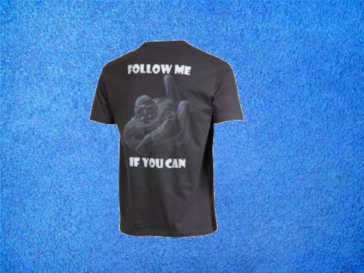 T-Shirt, grau