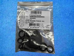 Universal Spring Straps